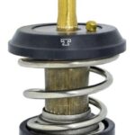TERMOSTATO AMAROK TMT078